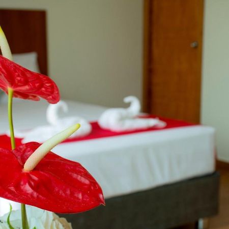 Hotel La Palmera De Oro 塔拉波托 外观 照片