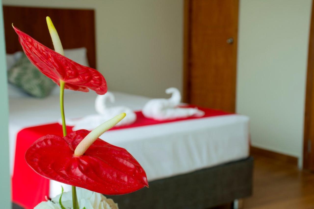 Hotel La Palmera De Oro 塔拉波托 外观 照片